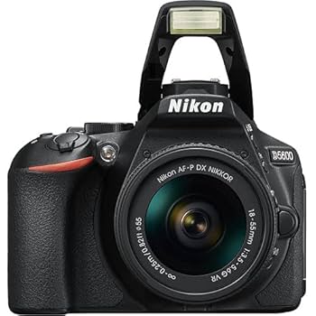 ニコンD5600 Amazon.com : D5600 DX-Format Digital SLR w/AF-P DX NIKKOR 18